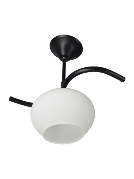 Fuji Siyah Tekli Beyaz Yatsı Camlı Avize