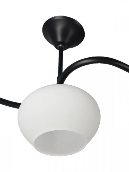 Fuji Siyah Tekli Beyaz Yatsı Camlı Avize